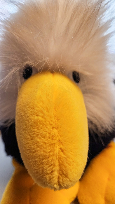 Ich hab' dich im Auge!