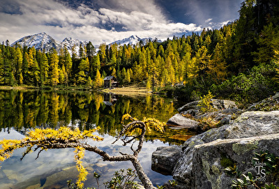 Reedsee Hohe Tauern