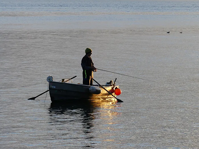 Bodenseeangler