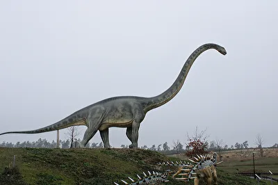 Dino