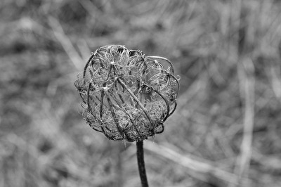 ohne Titel
