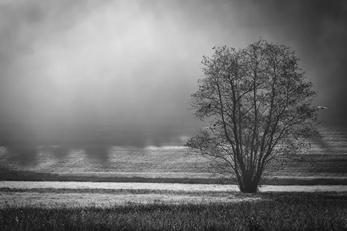 Nebel und Sonne..