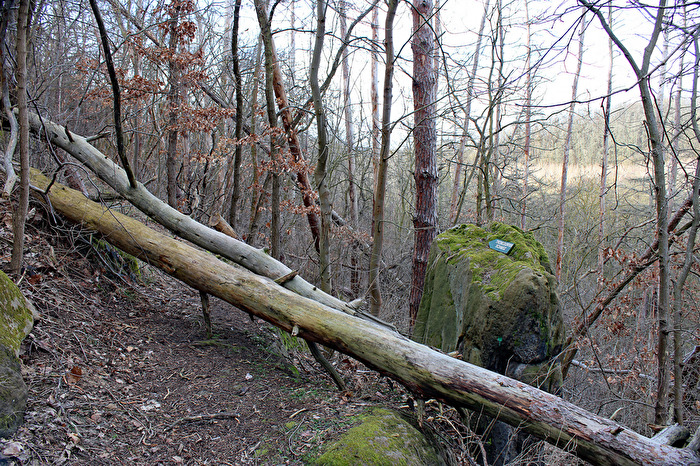 Wildnis - Tröbsdorf