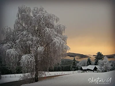 Wintergrüße