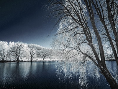 Am Meerpfuhl im Taunus II