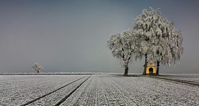 Winter - Frost