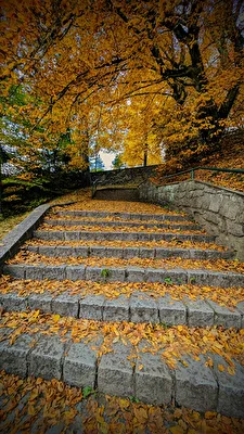den Herbst entgegen