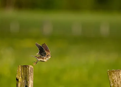 Abflug