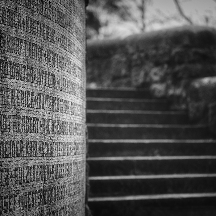 Mosaik