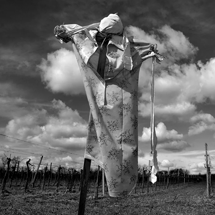 Scarecrow near Hohenwarth