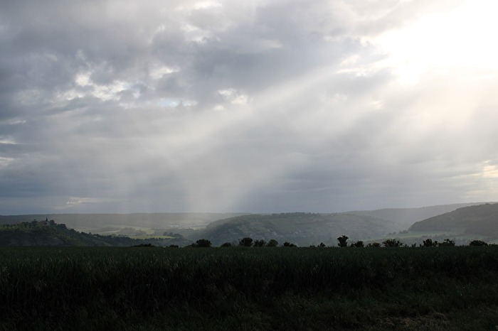 Licht