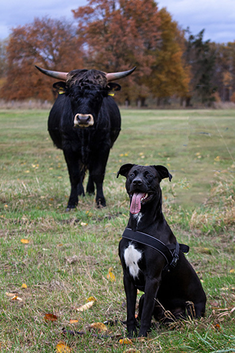 coole Models