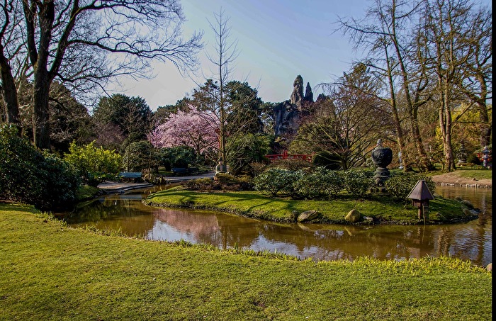 Parklandschaft