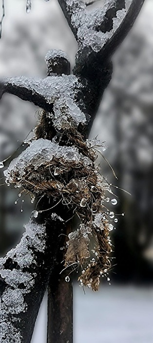 The first snow 2025