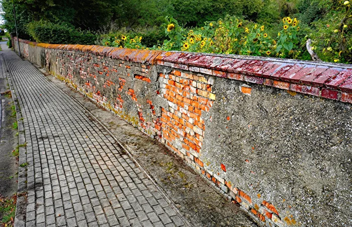 Mauerblumen