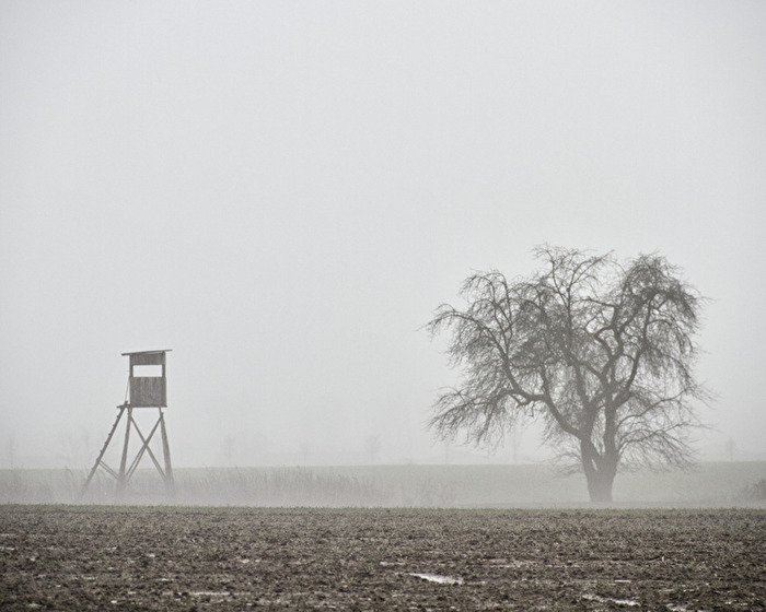 Winternebel