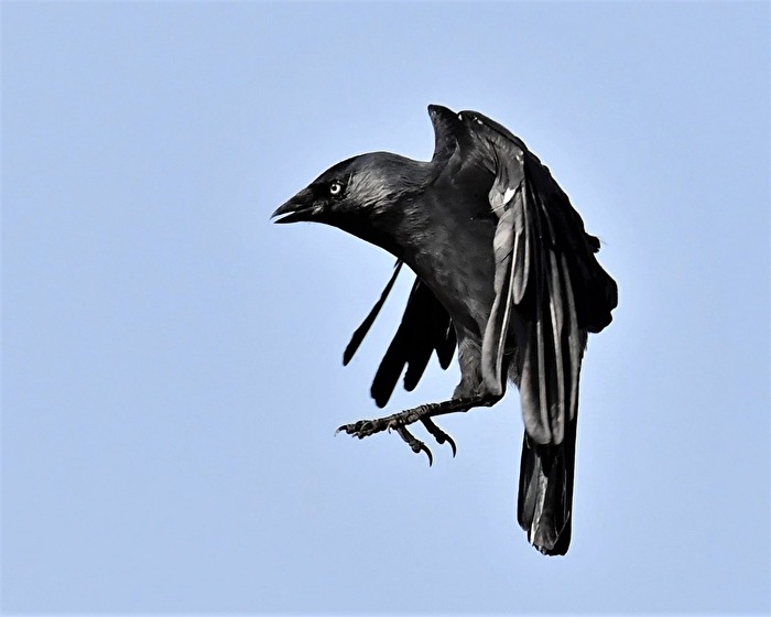 " Nicht gerade elegant ! "