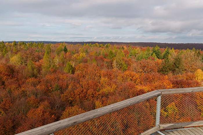 Über dem Steigerwald