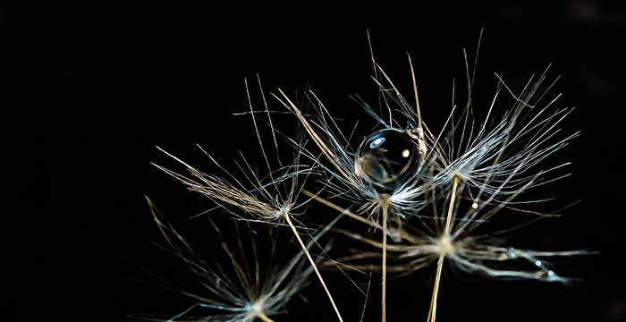 Glycerin Kügelchen ca. 1,5mm