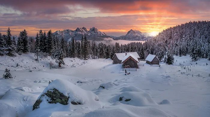 Scheibelalm