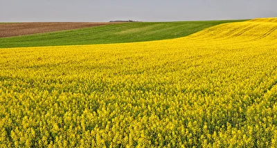 Frühling