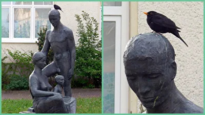 jedem sein Vogel,...