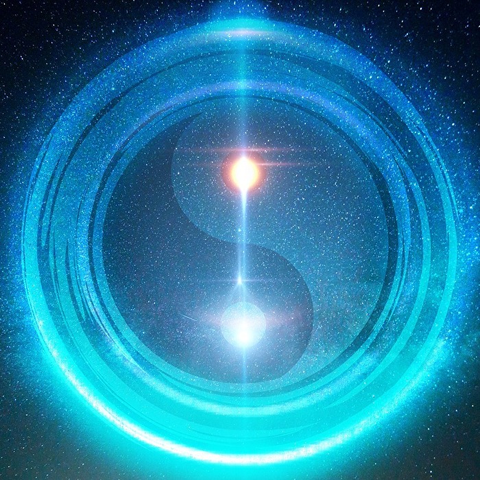 Premium 5 Fotos pro Tag