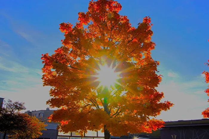 Herbst