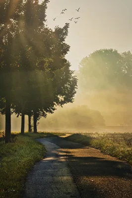 ohne Titel