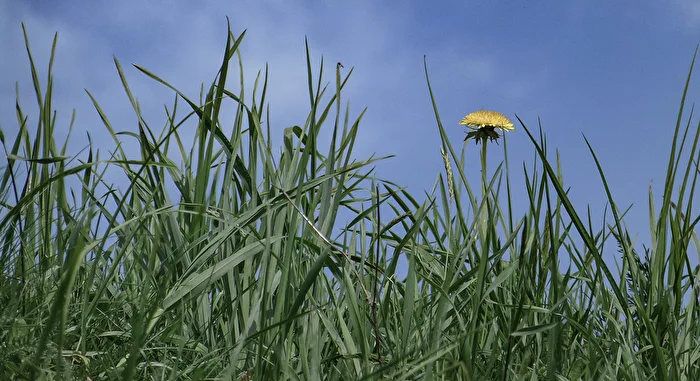Frühling im Süden