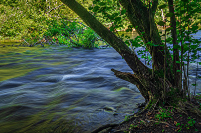Die Würm bei Gauting, Bayern