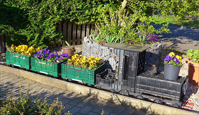 der "Frühlingsdexpress"