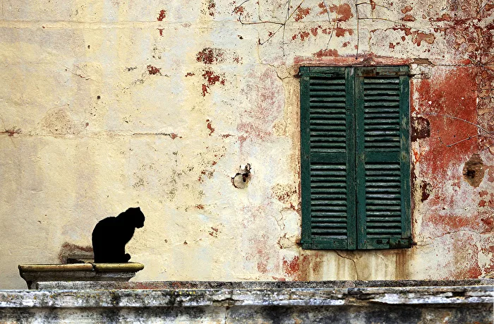 SIESTA