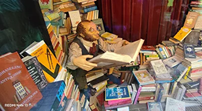 eifriger Leser