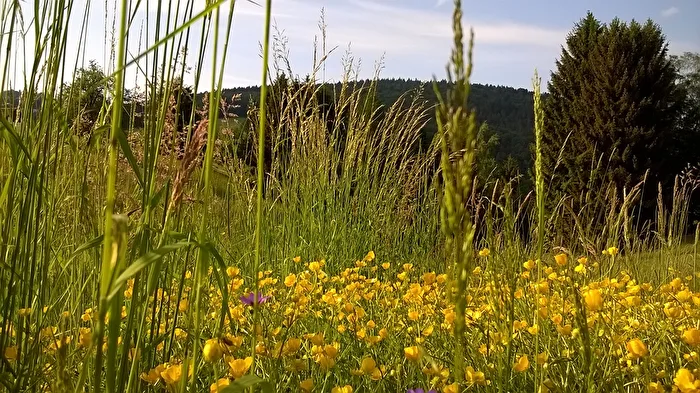 Natur gegen Kommerz. Ein kleines Bild mit Hintergrundgeschichte.