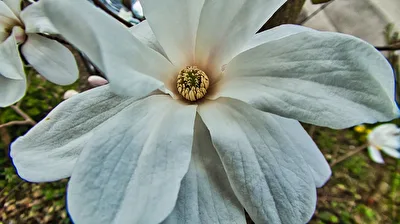 Der Frühling kann kommen