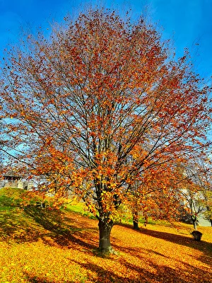 ohne Titel