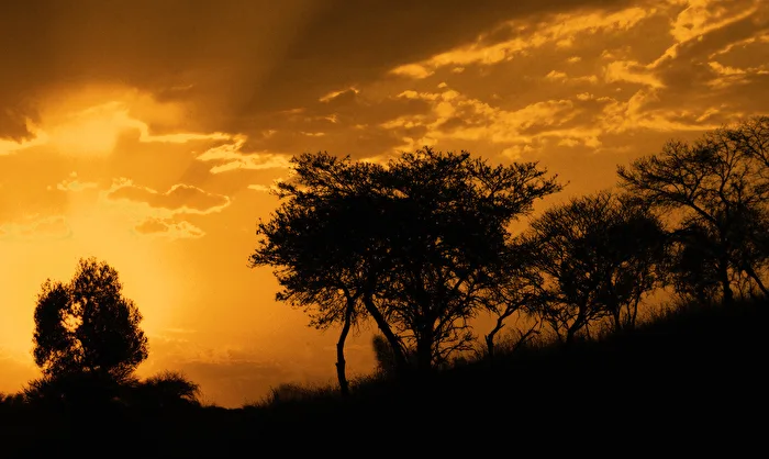 SOUTH AFRICA