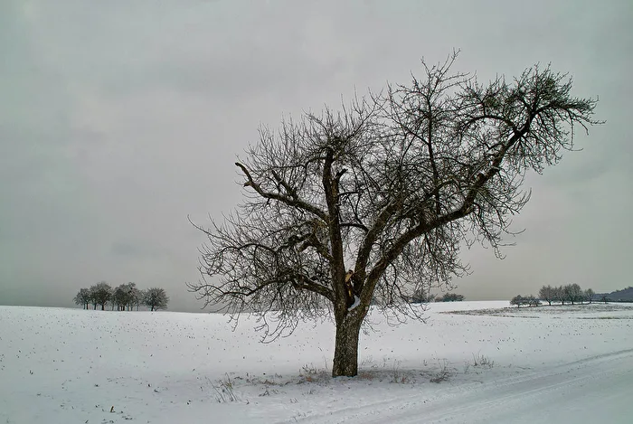 Winter
