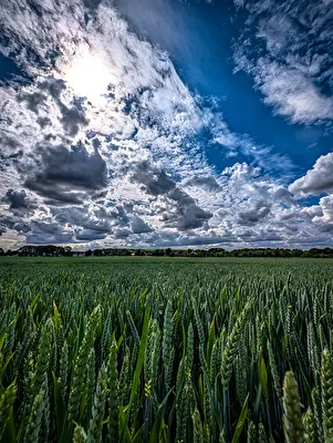 Wechselhafter Sommer
