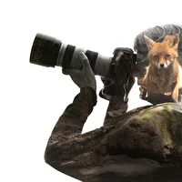 Profilfoto