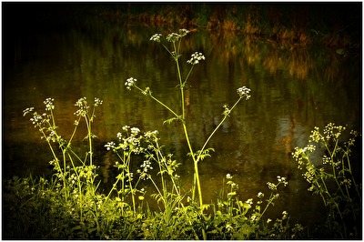 Randgruppen können oft interessant sein.
