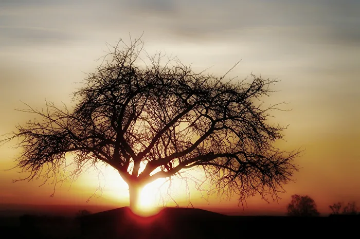 Winter Sun