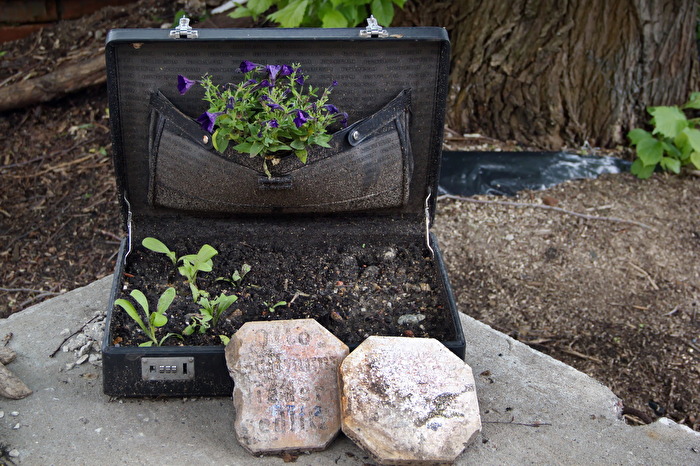 Musterkoffer eines Pflanzenverkäufers