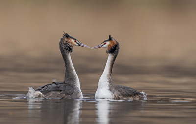 Der Frühling rückt näher