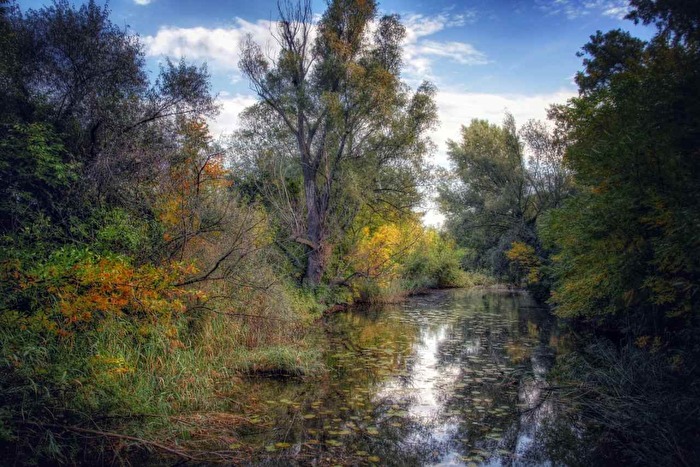 Nationalpark Donauauen