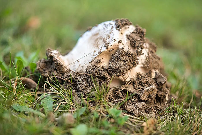 Tag  1 Die Kraft der Natur