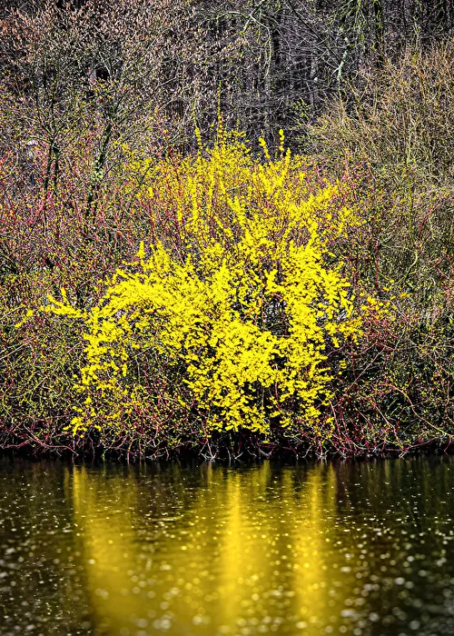 Spring mood . . .