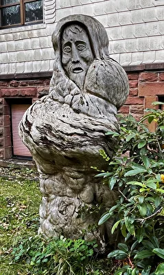 aus einem Baumstamm...
