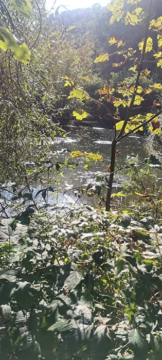 Wenn das Sonnenlicht